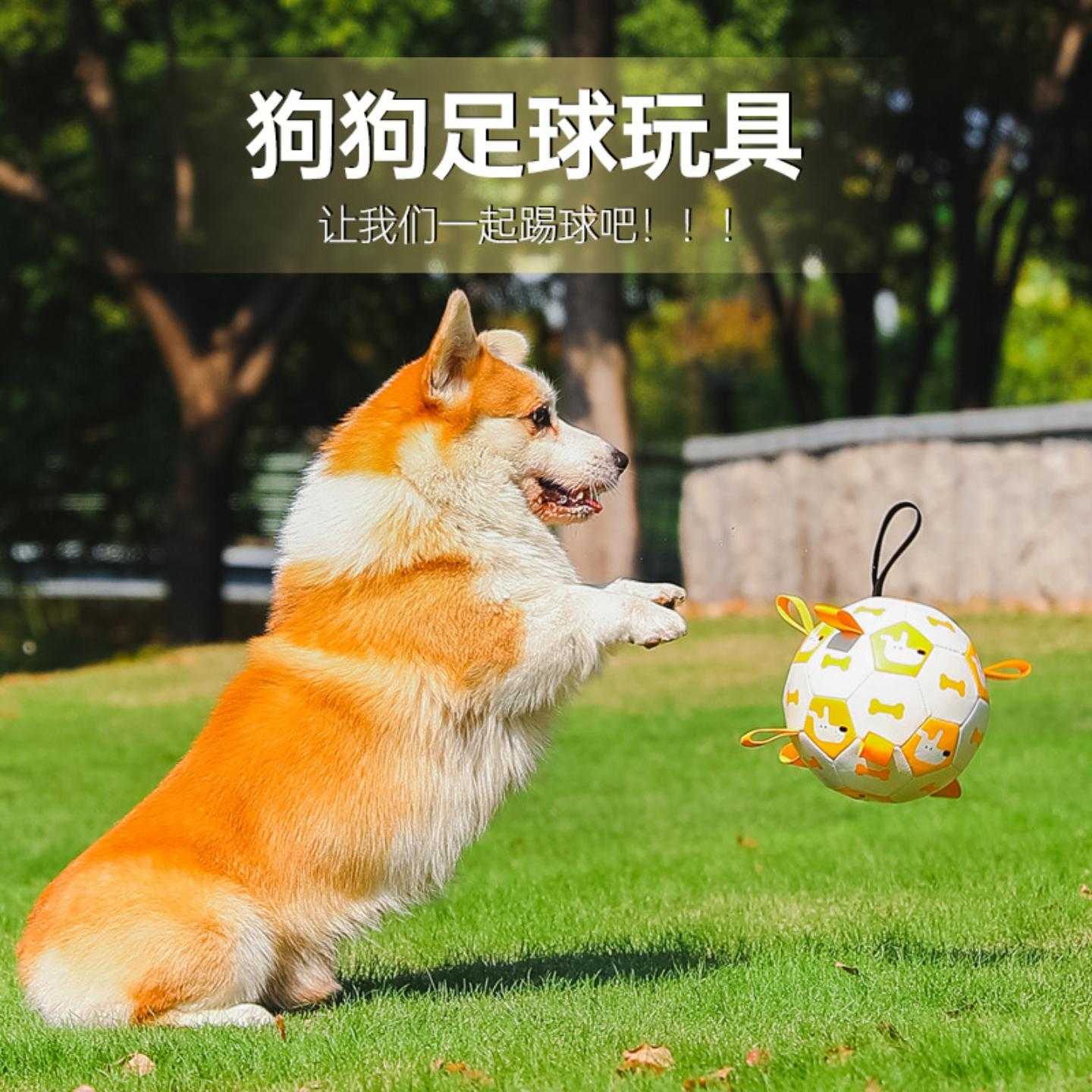 宠物户外玩具磨牙耐咬发声球充气