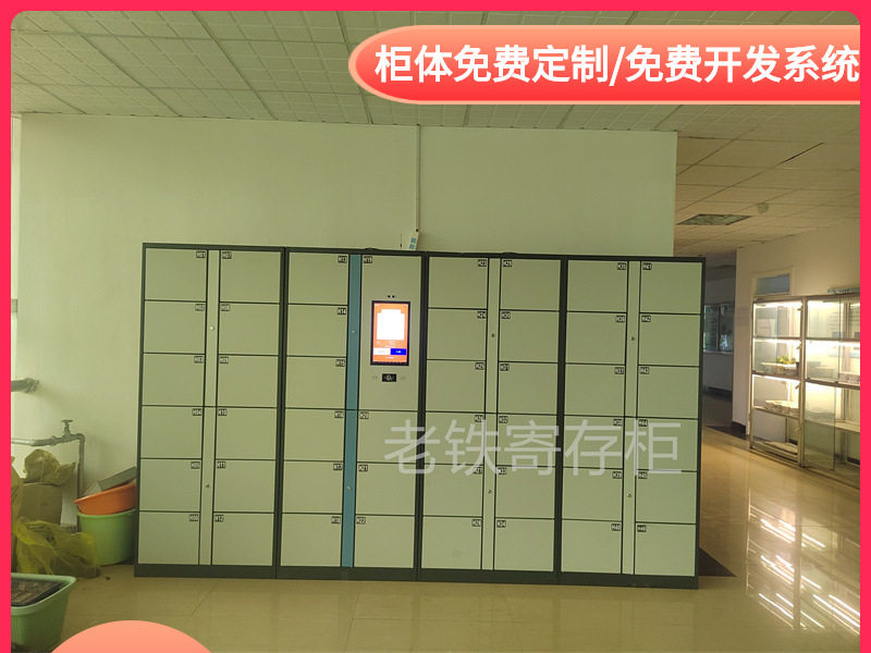 智能自编密码寄存柜蓝白喷涂