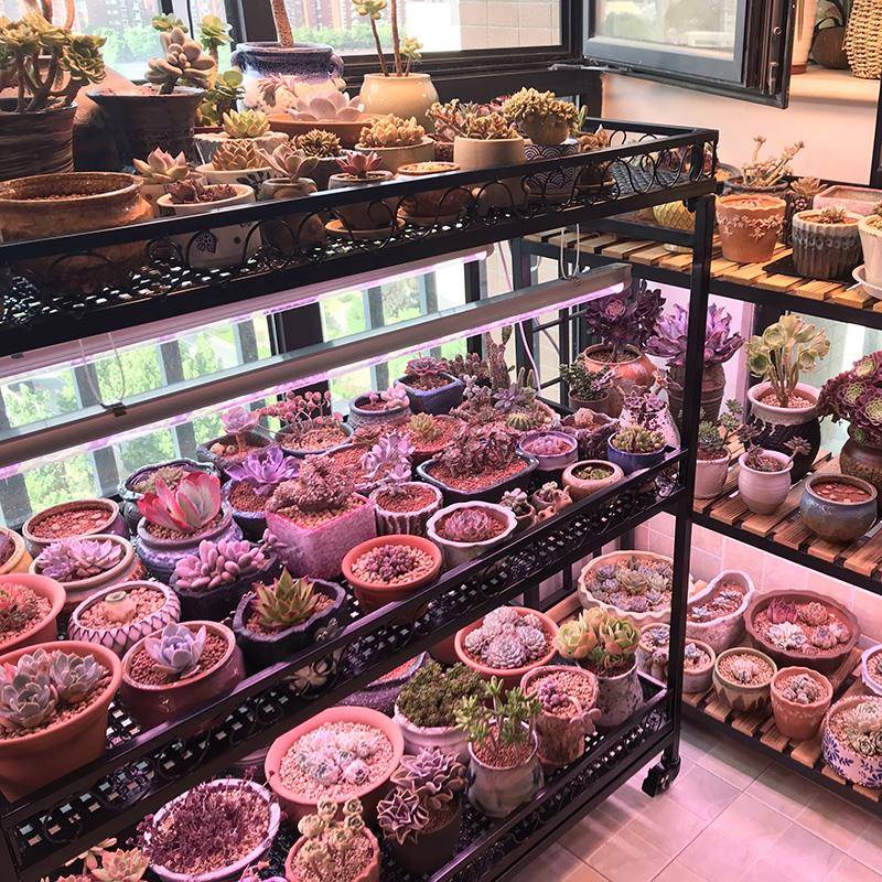 V多肉花架置物架子阳台多层室内飘窗台落地带轮可移动植物挂