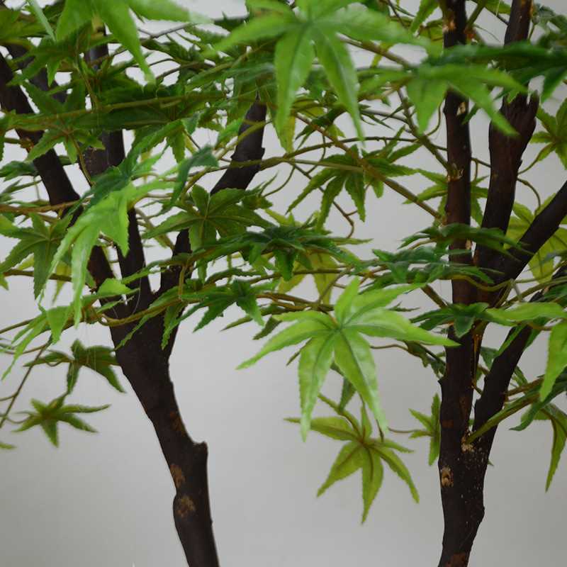 仿真植物绿枫树 客厅室内盆栽景观装饰 摄影背景道具绿枫树