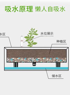 长方形仿藤编长条形自吸水花盆懒人花盆双层多肉长条盆蓄水花槽