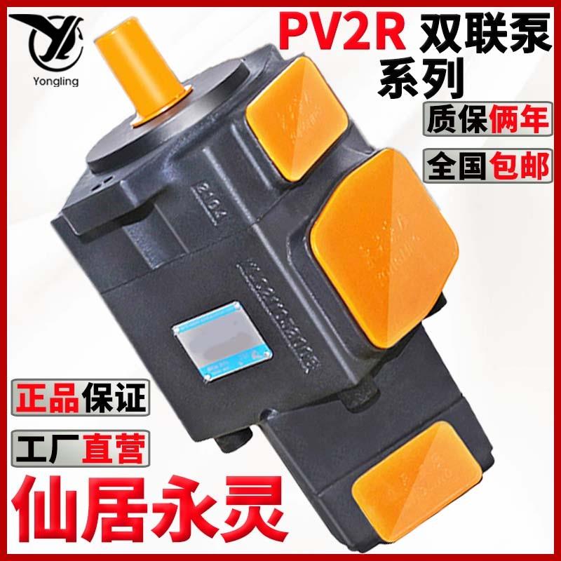 液压双联叶片泵PV2R21/1/31/32油泵总成液压系统泵头配件