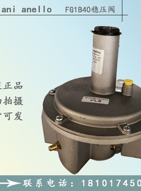 意大利朱利安尼FG1B40燃烧器稳压阀FGDR40稳压阀