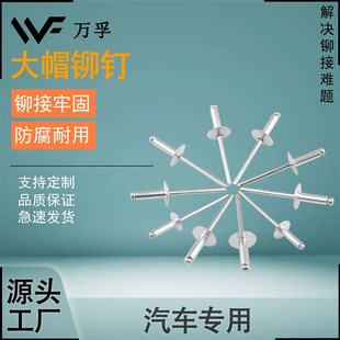 大帽铆钉抽芯铆钉国际大头拉F铆钉铝制拉钉拉铆钉汽车