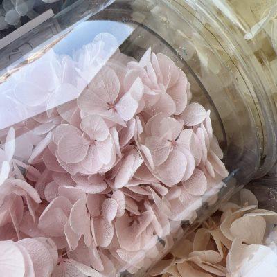 亚特兰蒂斯木绣球20g永生花花艺材料填充真花干花渐变保鲜花中华
