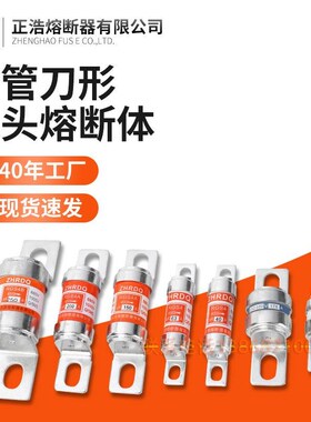 正浩陶瓷熔芯RGS4 RGS4A RGS4B快速熔断器100125A150A160A75A690V