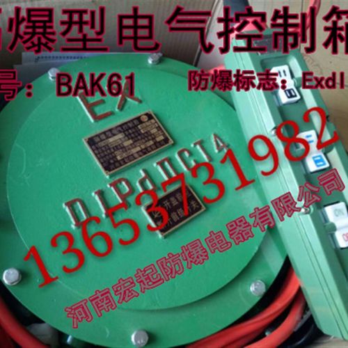 宏起隔爆型电器控制箱 BDK61CT4防爆电器控制箱 防尘防爆电控箱