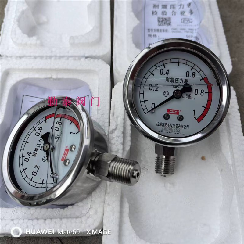 YN60耐震隔膜式/真空负压表/不锈钢耐震油压表/G不锈钢压力表