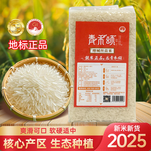 10斤 2体验装 2025新米广州增城丝苗米炒饭 煲仔饭高端米1斤