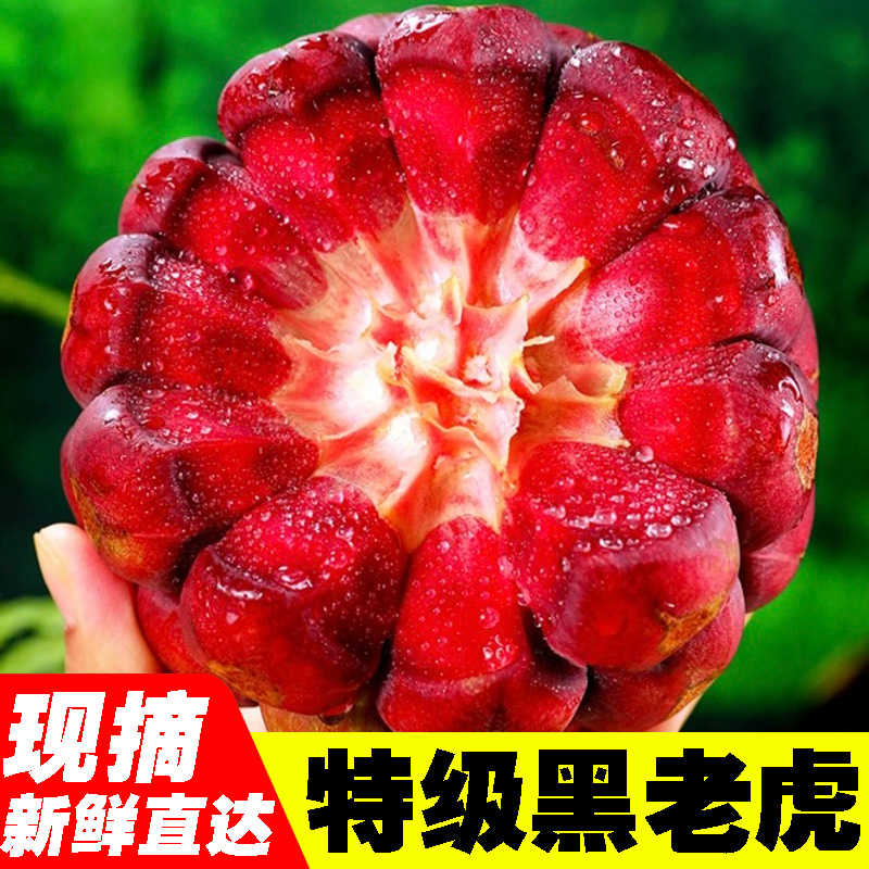 黑老虎热带养生水果奇异鲜果