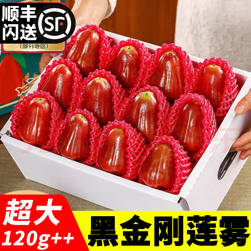 正宗海南黑金刚莲雾 精选新鲜孕妇水果节日礼品鲜果特大单果120g+