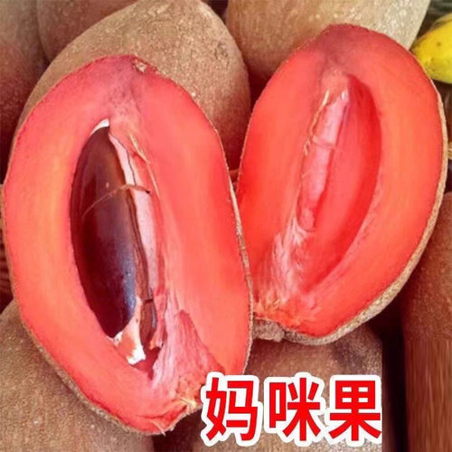 新鲜应季妈咪果新鲜妈咪果热带稀有水果古巴神仙果回味香甜