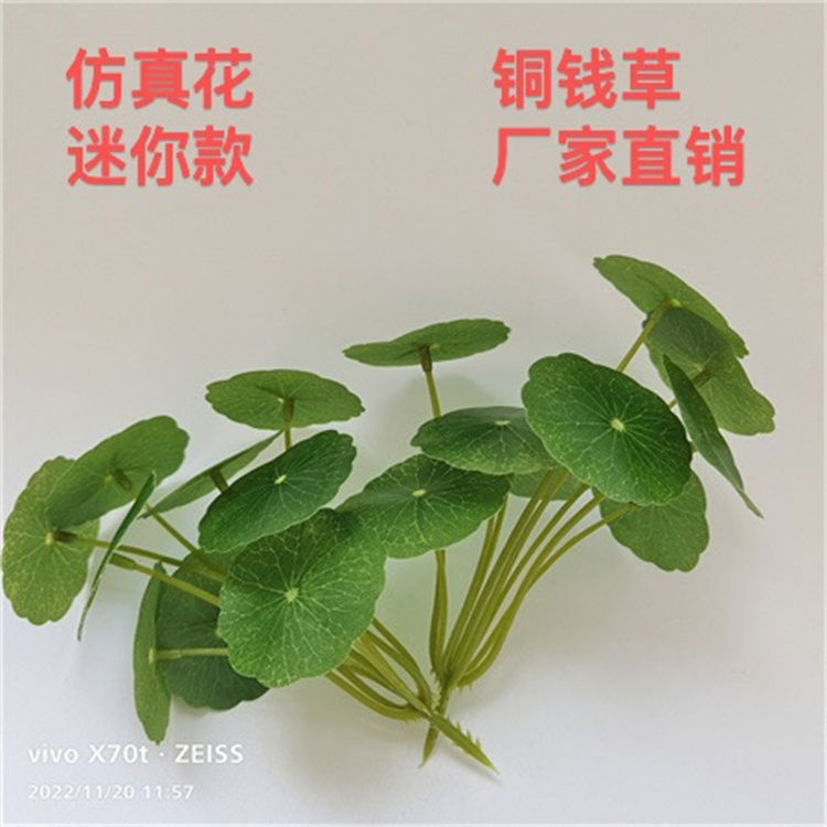 假花绿植塑料室内客厅摆设餐厅酒店用品婚庆道具9叉铜钱草小盆栽