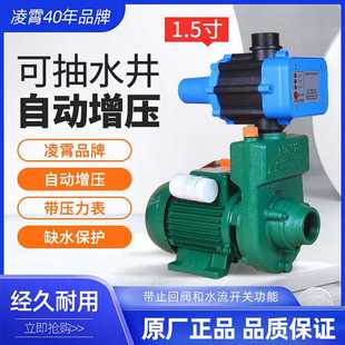2寸ZDK 广东凌霄1.5寸 抽水泵全自动增压泵大流量抽水机增压泵