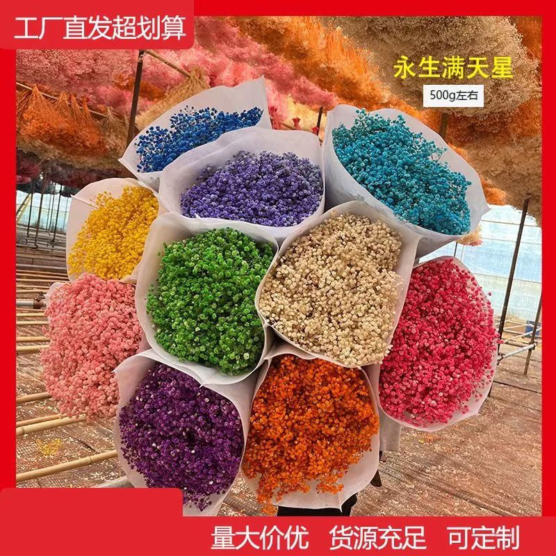 [新客立减]永生花满天星干花束大束diy材料装饰室内摆设家用直销