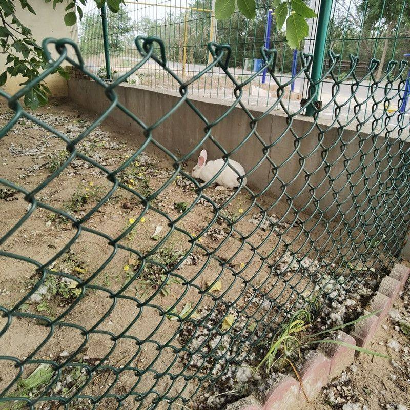 墨绿色PVC包塑勾花网养殖铁丝网球场护栏户外果园绿色防护网4mm粗,五金/工具,护栏/隔离栏,淘宝优惠券,粉丝福利购,淘宝优惠卷