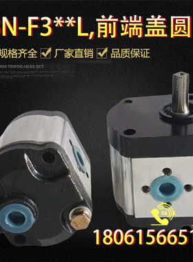 侧装泵 液压油泵CBN-F314L/F310L/F306L/F316L/F320L/F325L扁花键