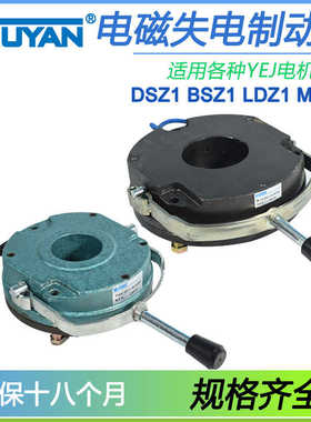 DSZ1 LDZ1失电MSZ1制动05器BSZ1-08 15 30 40 80 150 200 300 450