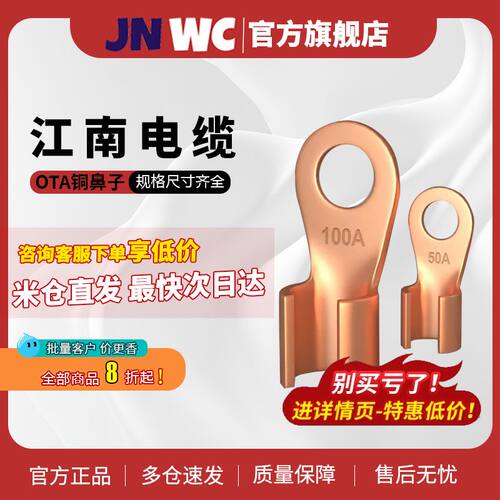 JNWC国线铜鼻子OT开口鼻接线端子电线接头60A电瓶10 6平方紫铜4