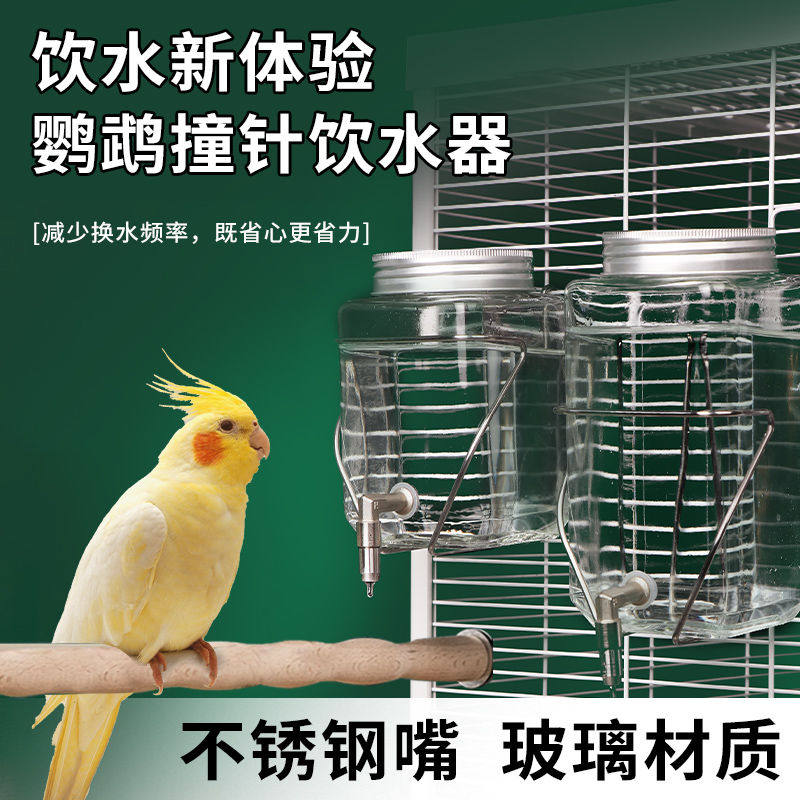鸟用饮水器鸟喝水牡丹虎皮鹦鹉撞针水壶蜜袋鼯龙猫玻璃自动喂水器