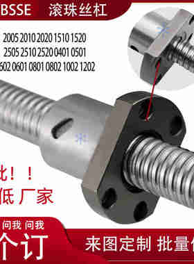 滚珠丝杠丝杆C-BSS/BSX/BSSE2005 1516 2505 2510 2520 0601 0801
