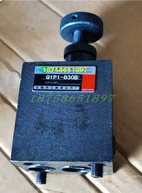 金鹏液压调速阀 Q-4B Q-4  江南Q1P1-B30B