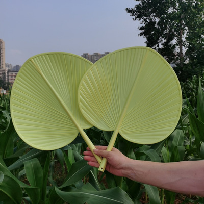 夏季家用扇子蒲扇芭蕉扇老式葵扇牛津扇加厚手摇大蒲扇防潮摔不烂