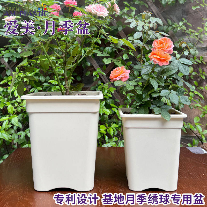 爱美方形塑料控根月季种植方盆透气防烂根育苗扦插绣球酢浆草花盆