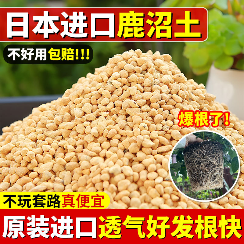 日本进口鹿沼土杜鹃专用茶花茉莉喜算植物多肉兰花铺面石拌土种植