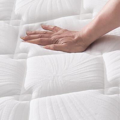 簧天然乳胶床垫.弹席梦思F9S5956J椰棕床垫15簧1.8米硬棕垫矮弹床