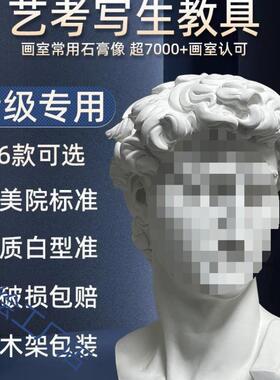 石教膏像卫石膏像ZER摆欧件美术具维纳斯小卫海盗美装大饰品塑摆