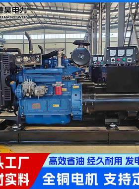 50KW潍电柴油发NIL机组商用电低噪音发电机组坊有刷无刷全铜发机