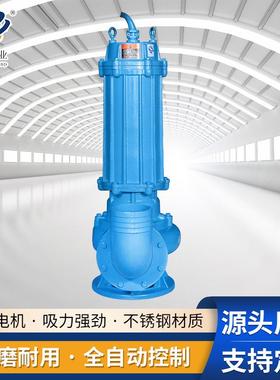 污污泥回流380v工业管道排污泵耐腐KGO蚀耐用相污水三物泵潜水泵