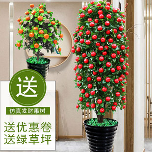落地绿植发财树假果o树仿真树假树客厅摆设大型盆景假花盆栽金桔