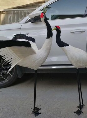 新品仿真丹c顶鹤摆件仙鹤朱鹮灰鹤动物教学影视拍摄道具假山模型