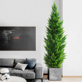 大型仿真绿植盆栽柏树小香松树圣诞假树植物室内S门店装 饰橱窗造