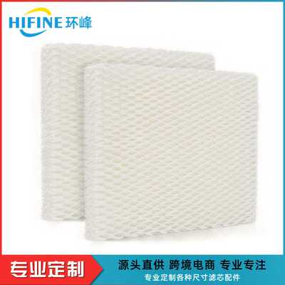 适用飞利普空气加湿器过滤网HU4905/4906/4908滤芯FY3436净化器