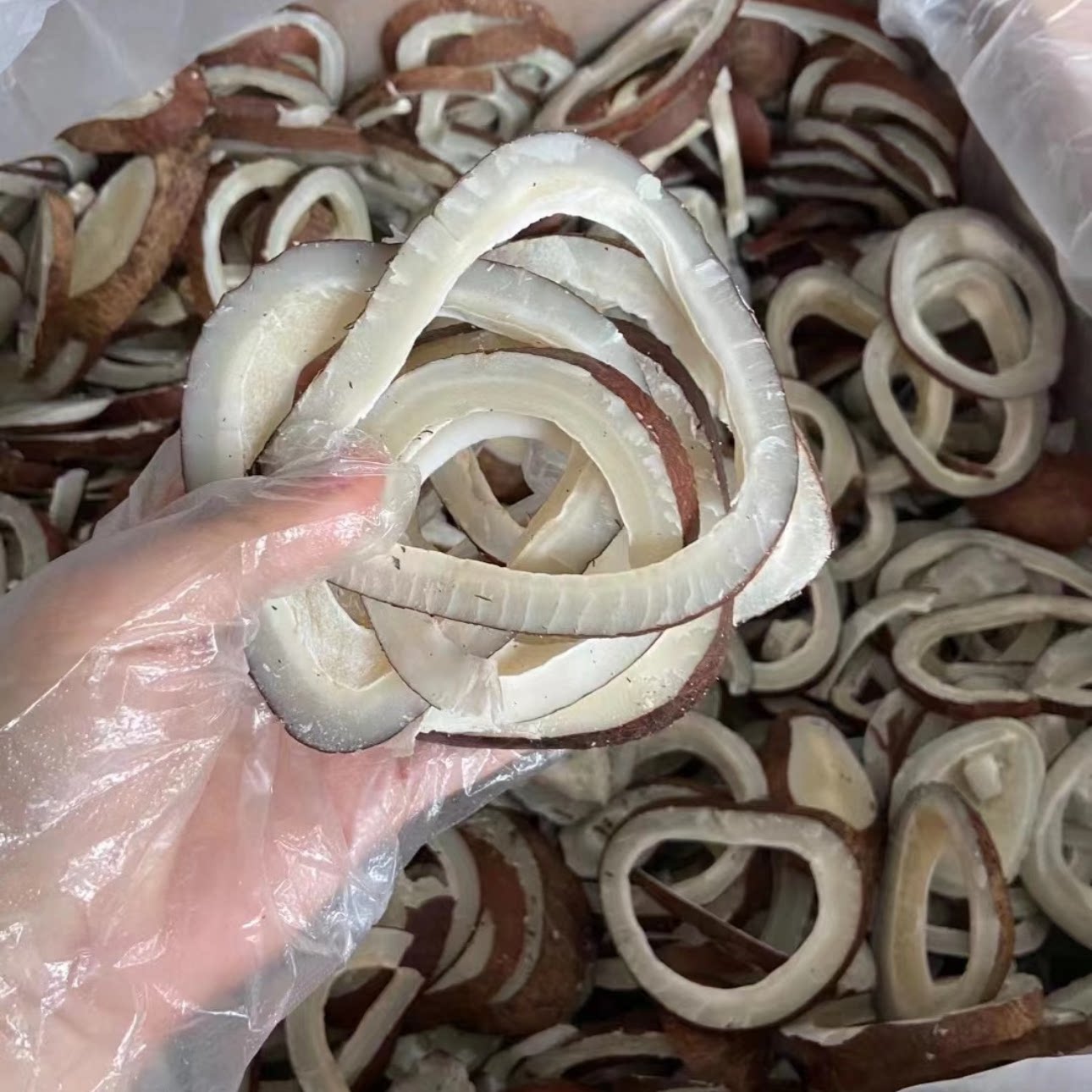 海椰皇片浓香切片海椰王椰子肉干广东煲鸡汤材料炖鸡椰子干椰皇干