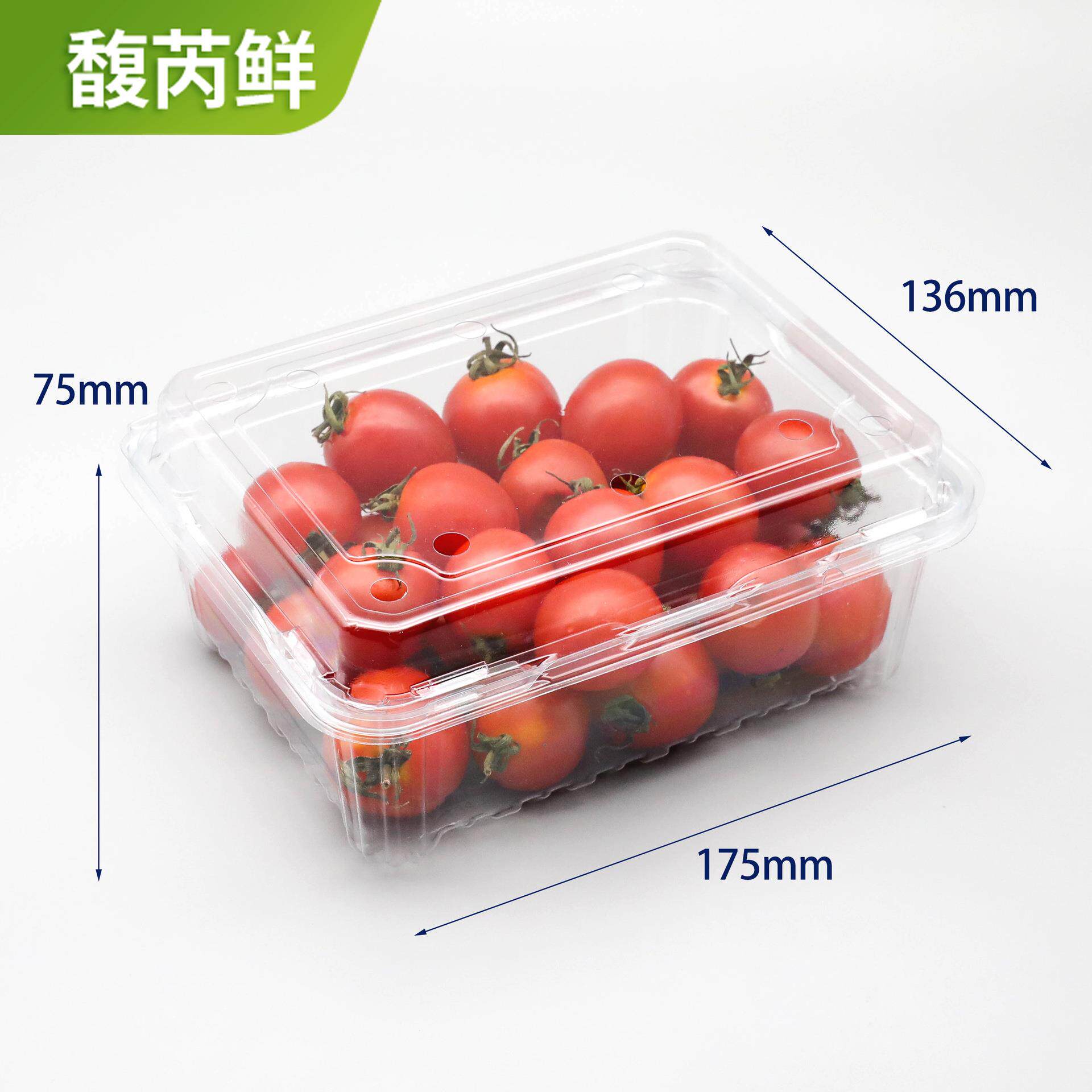 一次性水果包装盒专用透明食品级小西红柿西梅1斤装外卖打包盒