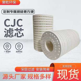 B15 滤油机滤芯CJCF27 B27 P5600505CJC 25碟片滤油滤芯