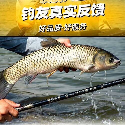 千代云禾日本碳素19调超