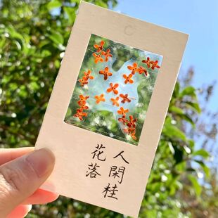 收集秋天！桂花书签标本diy干花手工材料包透明植物树叶标本塑封