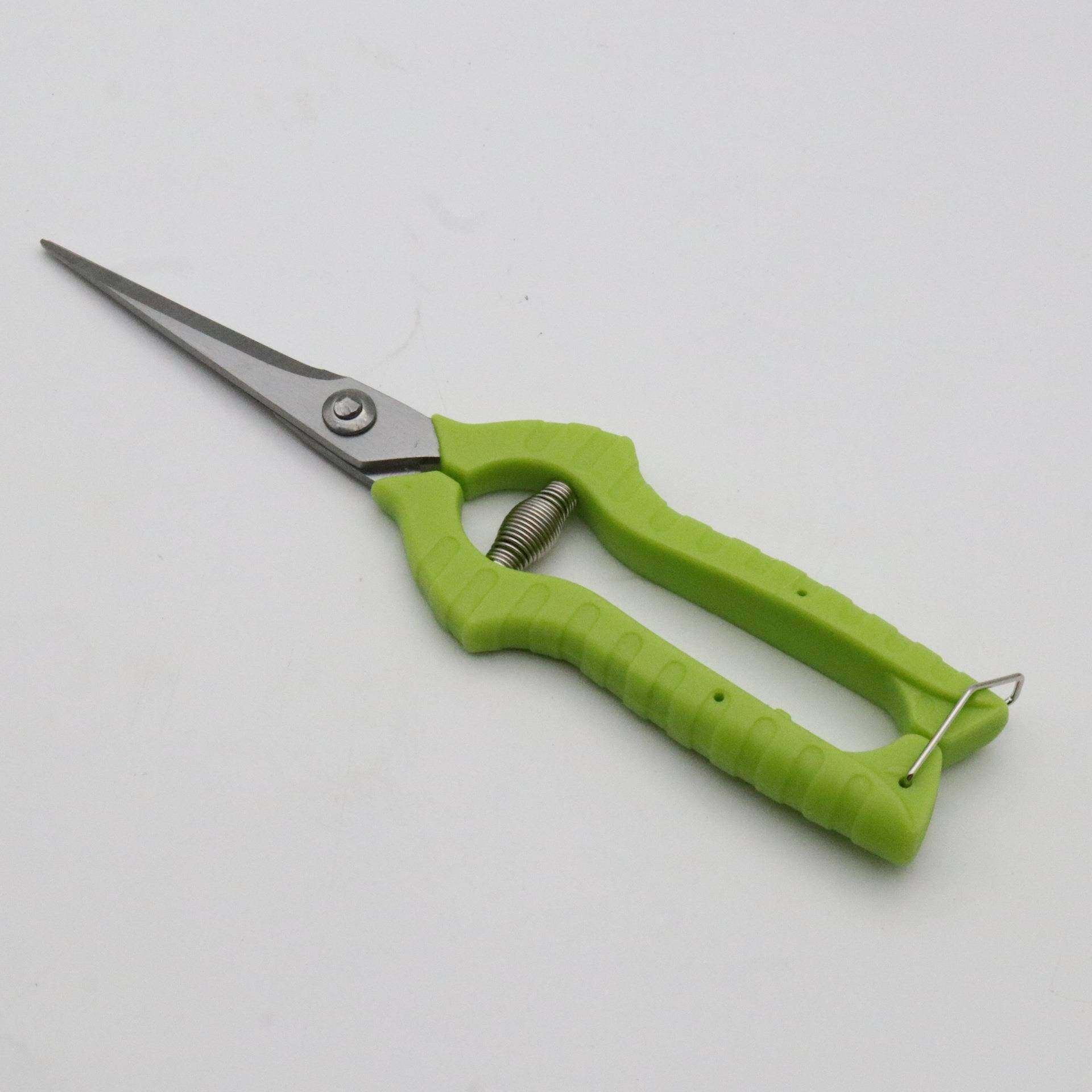 厂家供应不锈钢园林修枝剪葡萄稀果剪盘景园艺工具尖头果园摘果剪,五金/工具,家用工具组套,淘宝优惠券,粉丝福利购,淘宝优惠卷