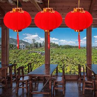植绒球小灯笼盆景春节新年节日喜庆结婚新年装饰阳台小红灯笼串