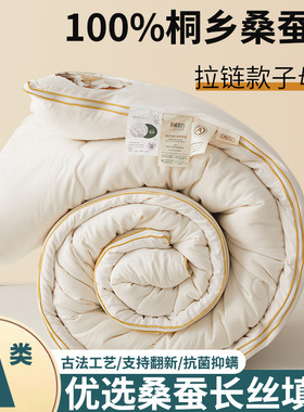 桐乡蚕丝棉被桑丝子母被二合一拉链款春秋棉被芯冬被四季通用E18