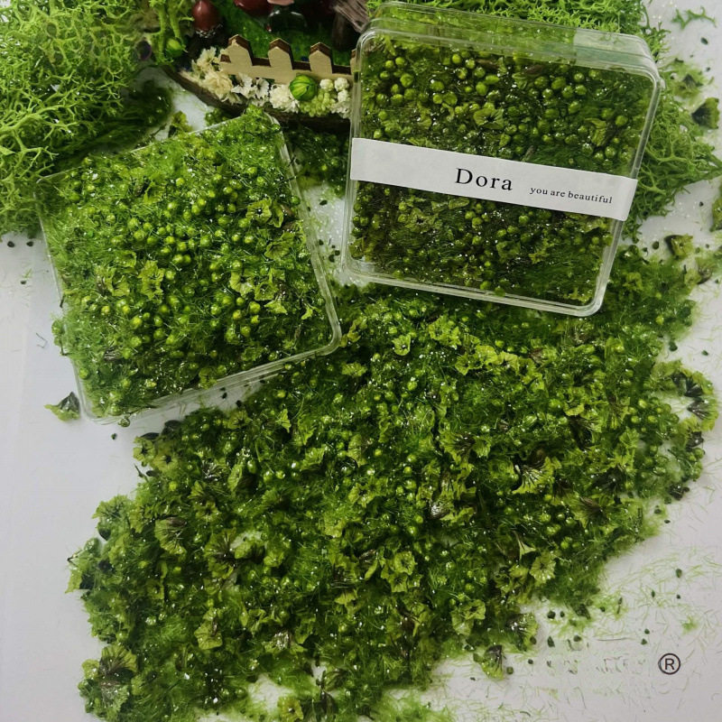 9森系艺术DIY垃圾款装饰造景装饰麦干花混树粉自手帐素材太保造景