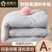 格桑花大豆纤维被子被芯冬天加厚保暖冬被宿舍冬季 棉被褥春秋被