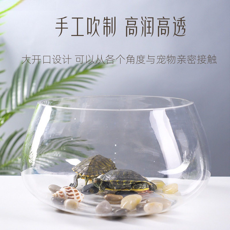 桌面小鱼透明家用创意乌龟小型鱼缸玻璃圆形办公桌迷你绿萝水培