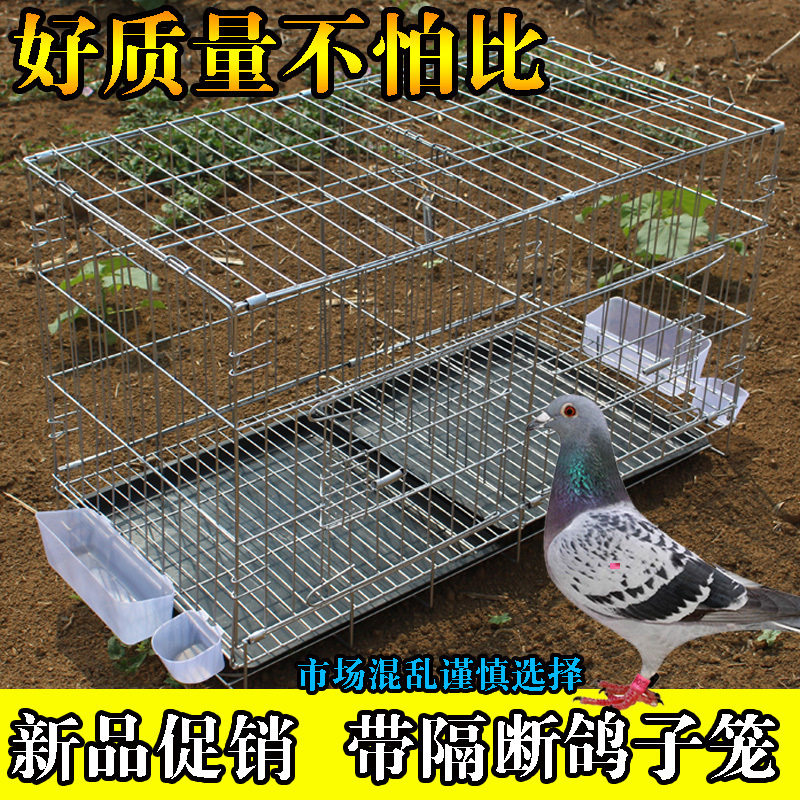 鸽子笼大号配对笼家用子繁殖铁丝养殖鸽舍用品用具
