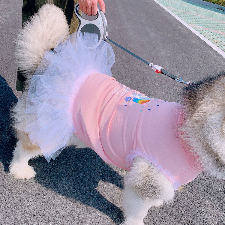 狗衣服春夏薄款宠物亲子蓬蓬裙恤泰迪猫咪斗牛金毛阿拉代发